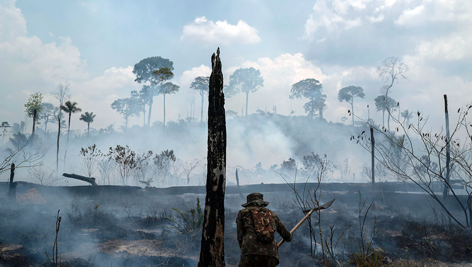 New Amazonian Atlas reveals that a third of the rainforest is threatened