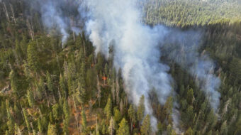 Yosemite fire grows as crews defend iconic sequoias