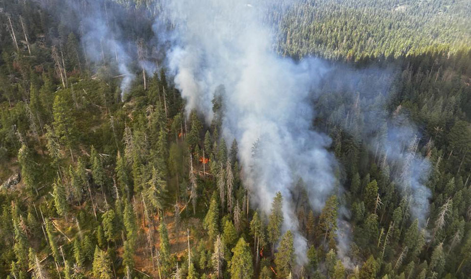 Yosemite fire grows as crews defend iconic sequoias