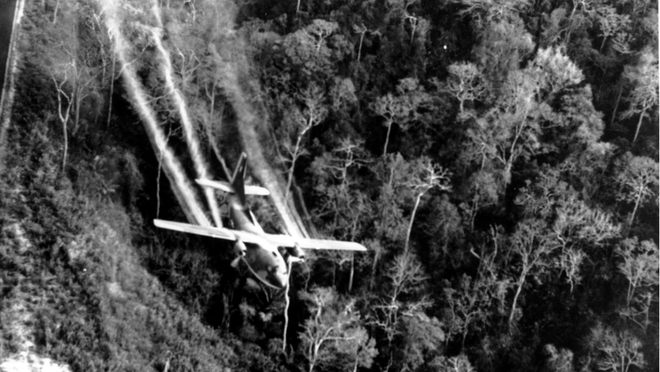 Vietnam marks 61 years since U.S. military’s Agent Orange attacks