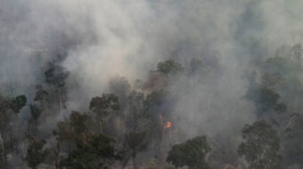 El número de incendios en la Amazonía brasileña alcanza un máximo de cinco años