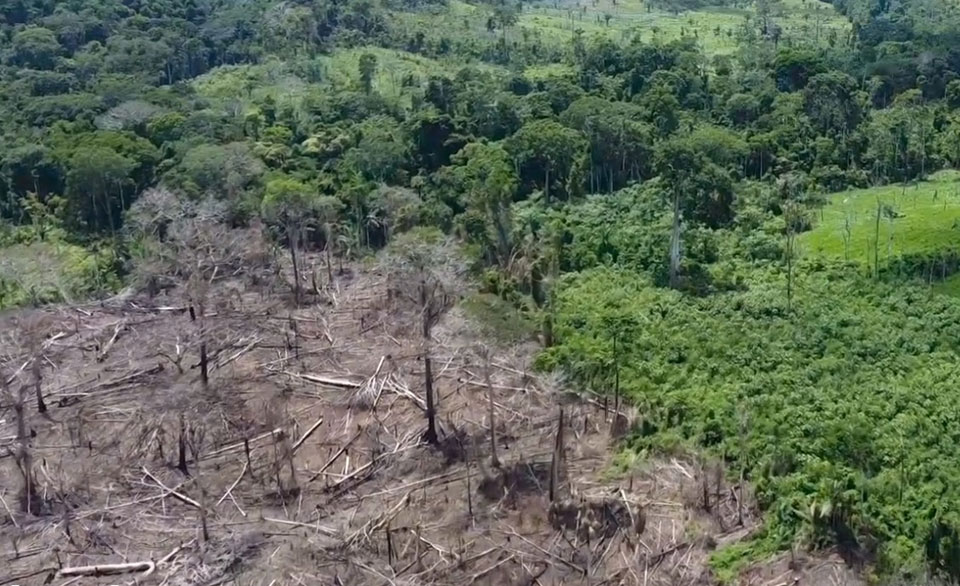 Brazil’s Lula vows no deforestation but challenges loom