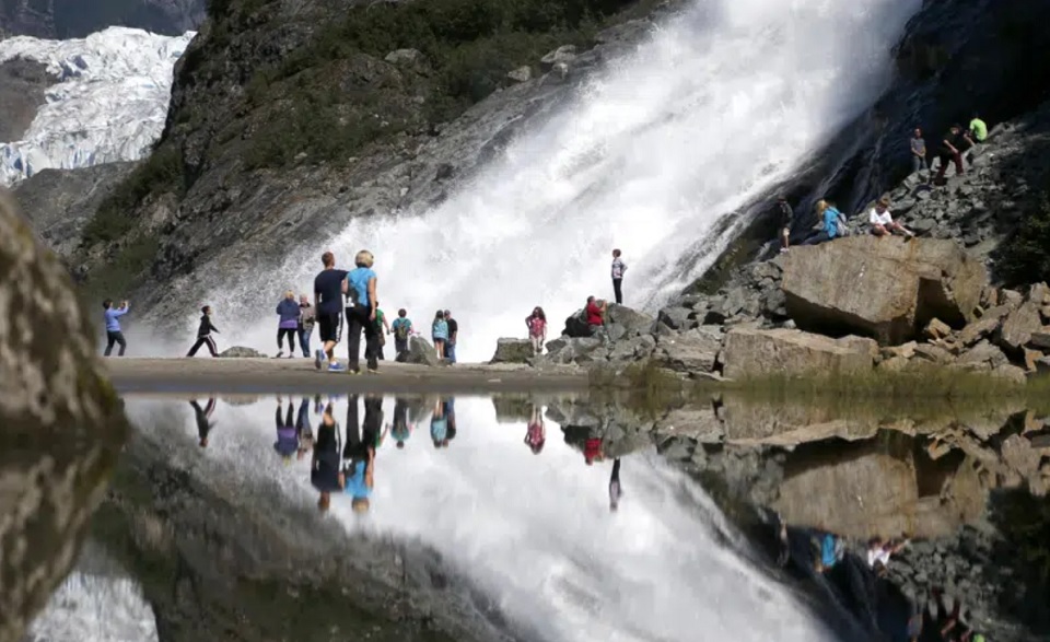 Environmental groups cheer as restrictions on logging corporations reinstated in Alaska