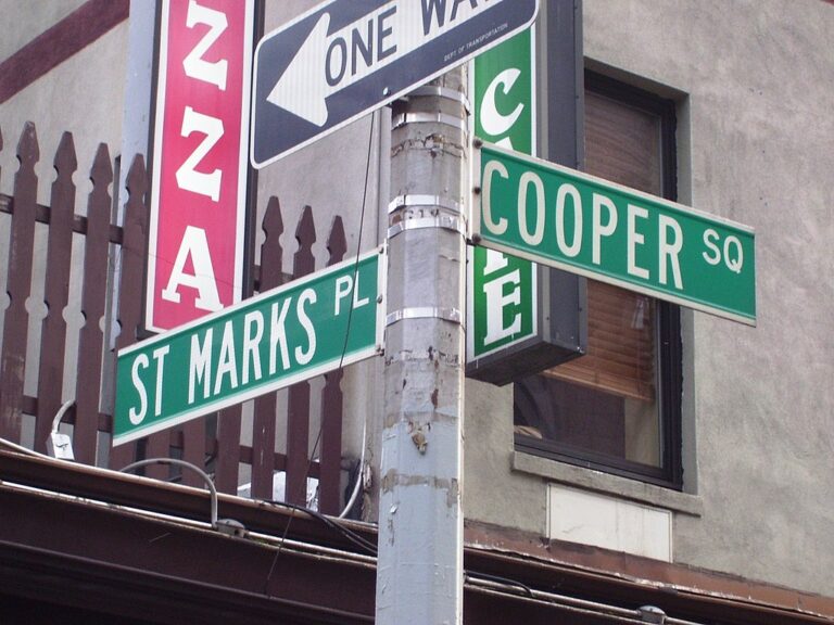 ‘rabble Rousers: Frances Goldin And The Fight For Cooper Square’ Film 