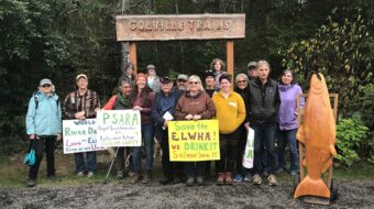 In Washington State, activists fight to save Elwha River watershed from clear-cut logging