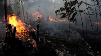 Se celebró una cumbre para salvar las selvas tropicales antes de que desaparezcan