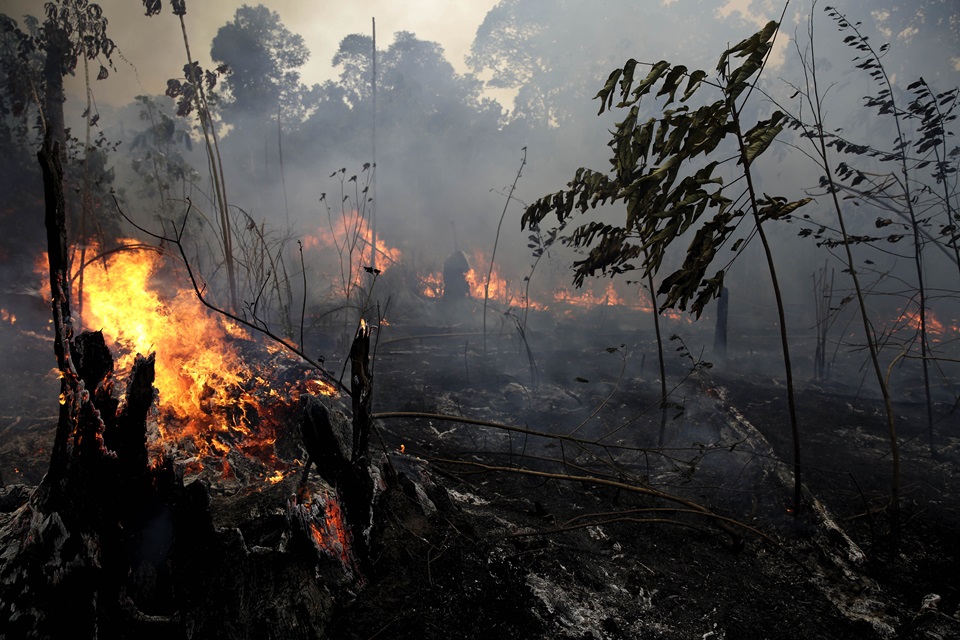 Summit held to save rainforests before they burn out of existence