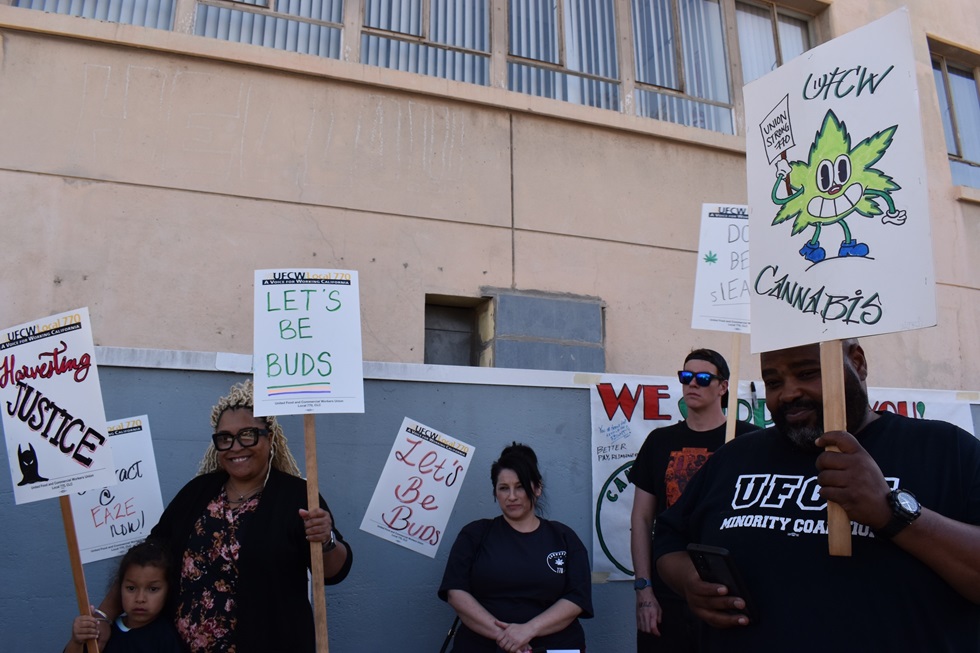 UFCW California cannabis workers avert strike, reach tentative agreement