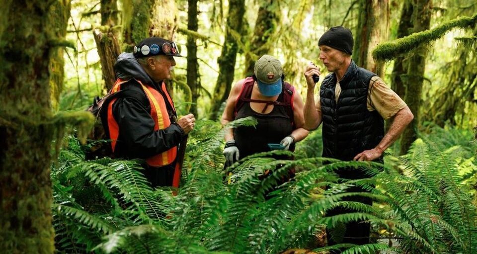 Washington State candidate Dave Upthegrove fights to save legacy forests