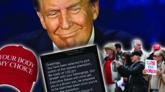 Trump terror begins as racists and male supremacists launch mass intimidation campaigns