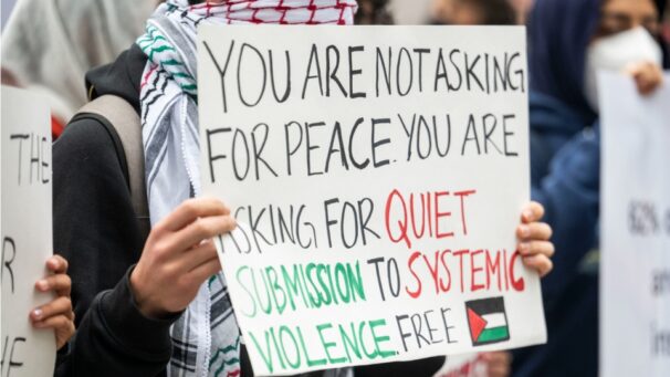 Hope in the data: Can Palestine explain America’s moral shift?