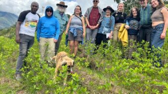 Some brief notes about coca in Bolivia