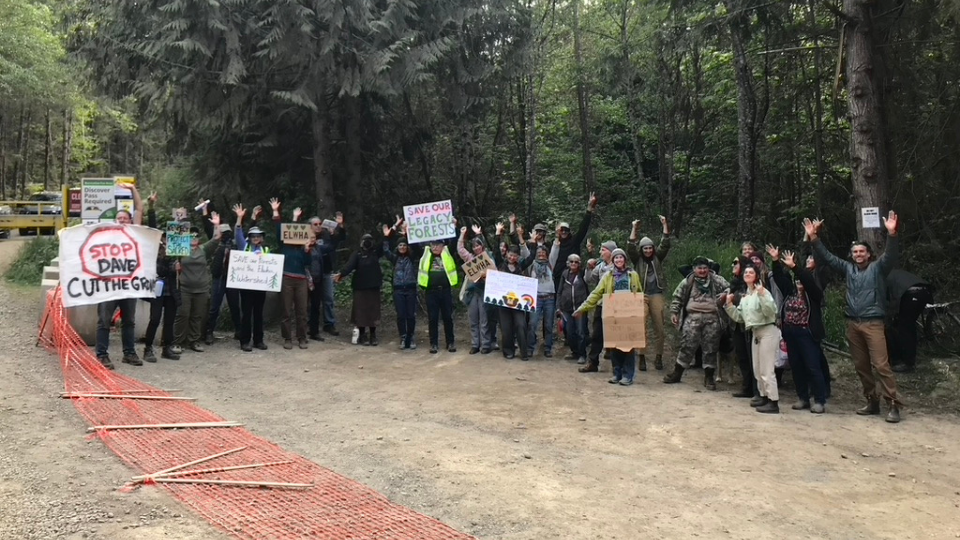 A timber parcel chant: ‘Dave, don’t cut the Grove!’