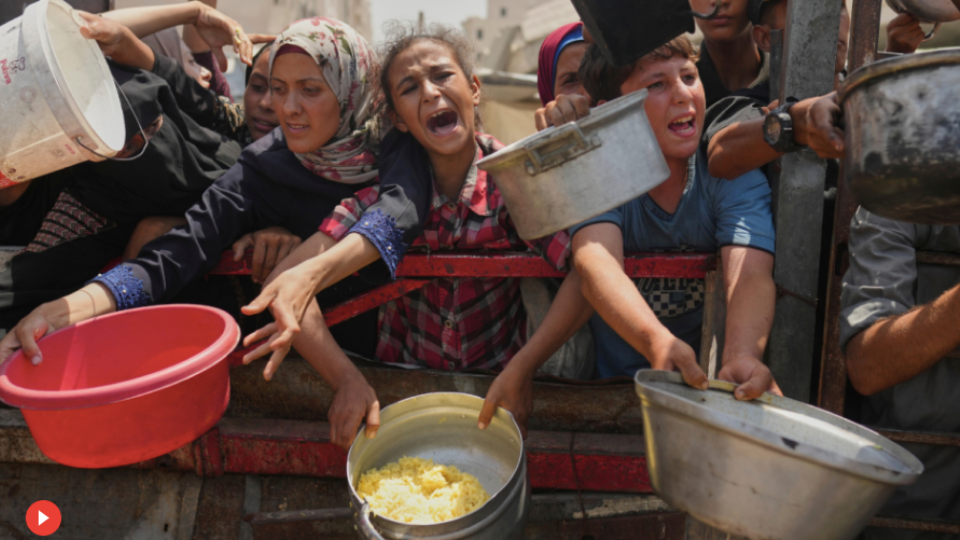 Democratic National Committee leader opposes strong resolution on aid to Israel