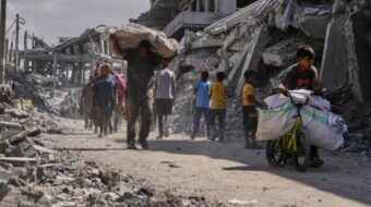 Peace forces welcome Gaza ceasefire, demand accountability and Palestinian self-determination