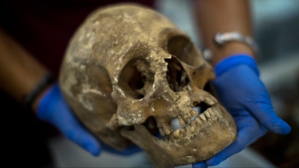 50 years after Franco’s death, fascism’s blood-soaked legacy still haunts Spain