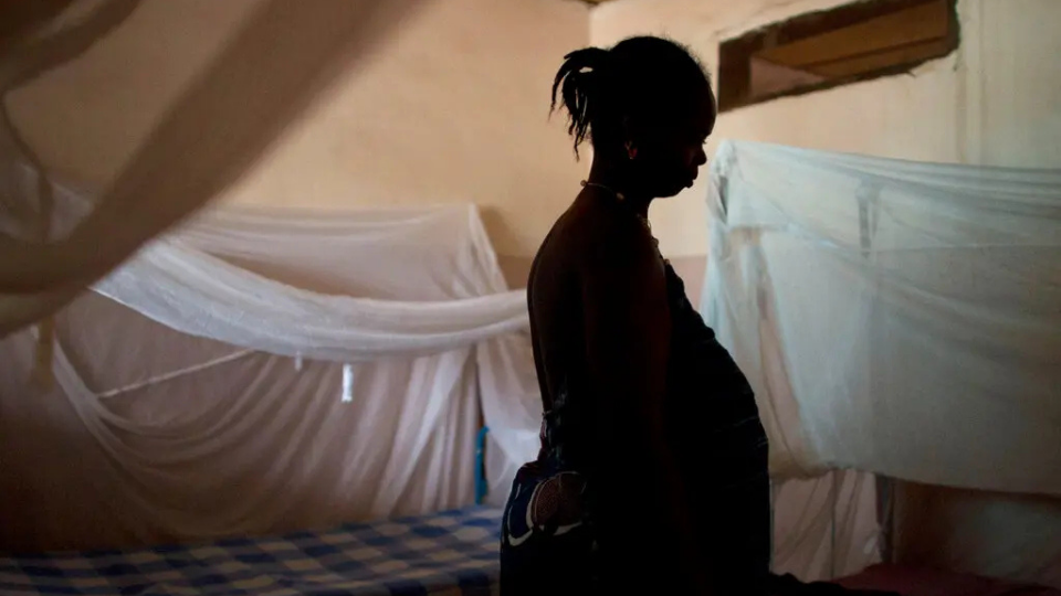 U.S. health research project rejected by Guinea-Bissau was deadly anti-vaccine scheme