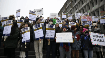 Jobless data a disaster with employment levels sinking rapidly