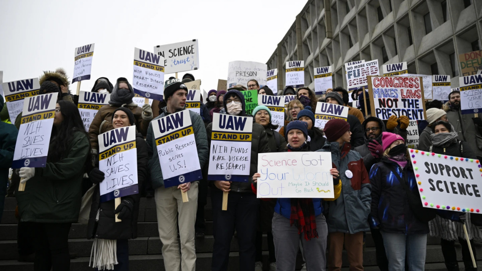 Jobless data a disaster with employment levels sinking rapidly