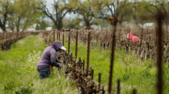 Farm Workers to march on federal courthouse protesting Trump’s wage cuts