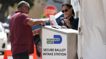 Midterm election will be a referendum on the future of U.S. democracy