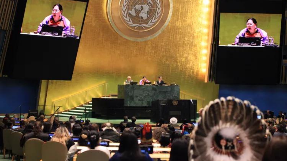 Indigenous land defenders are being killed, and AI is scraping their knowledge