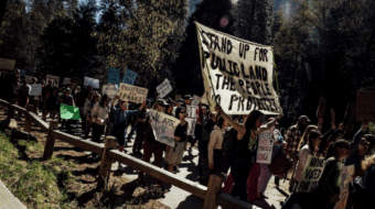 This land is not your land