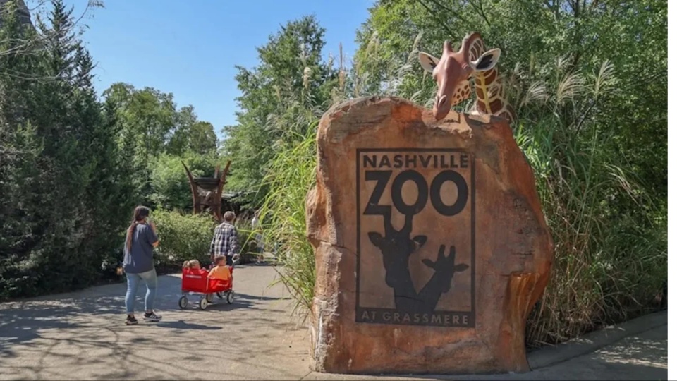 Nashville rises in opposition to proposed data center next to city zoo