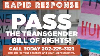 Rapid Response: Pass the Transgender Bill of Rights
