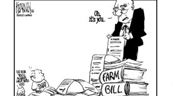 Senate farm bill focuses on farm economy, keeps ‘Big Beautiful’ SNAP cuts