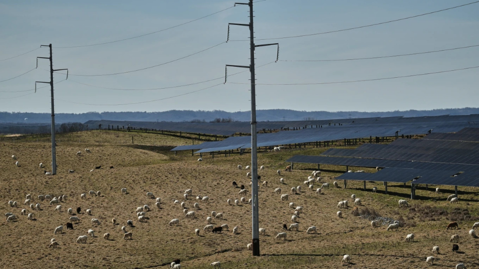 In rural communities, fears amplified by ‘AI slop’ and social media hamper solar boom