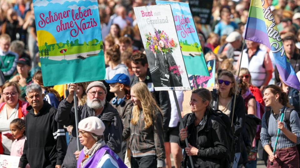 The resistible rise of a fascist party in Germany