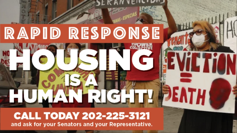 RAPID RESPONSE: Housing is a human right!
