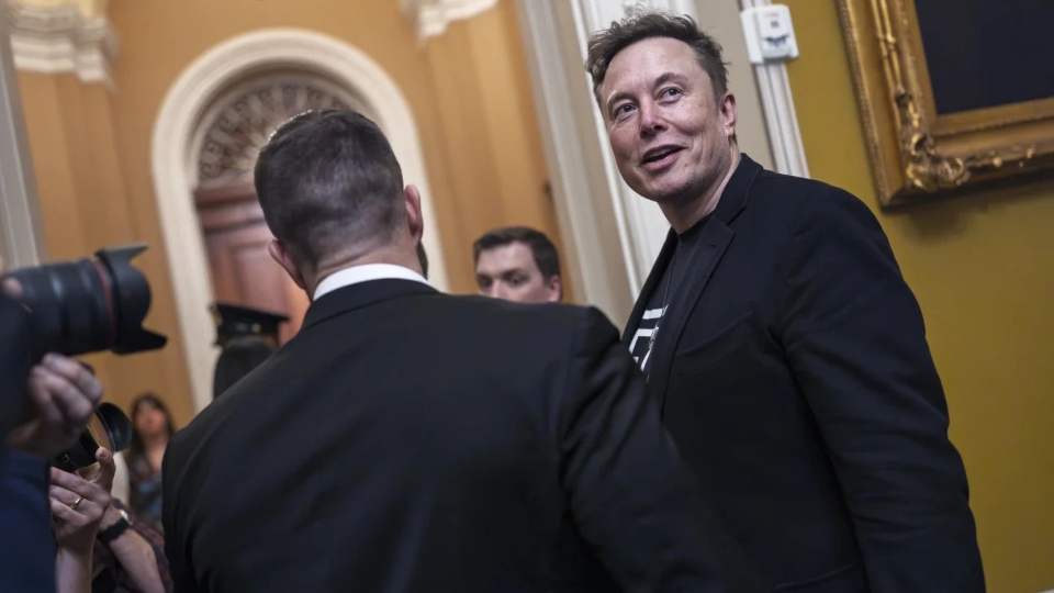Justice served: Fired by Musk, now they run for Congress